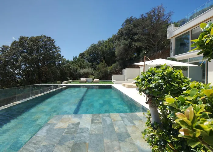 Tigliola Porto-Vecchio (Corsica)